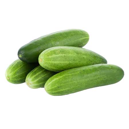 خیار